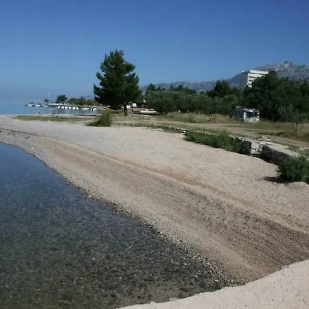 Korina