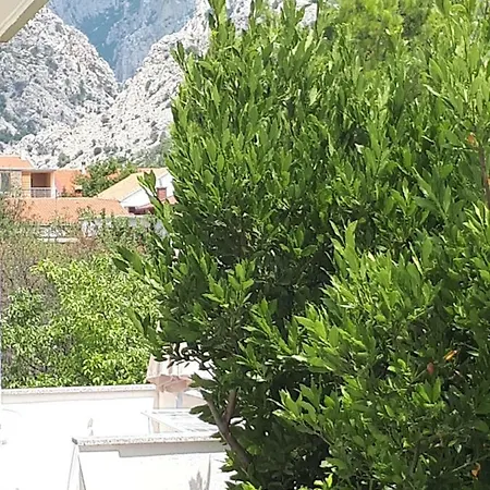 Apartment Korina Starigrad Paklenica