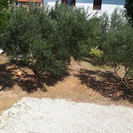 Apartman Korina